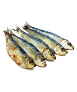 SARD PEIXE SALGADO CX10KG