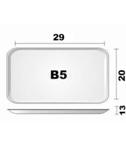 BANDEJA ISOP B5 29X20X13 200UN