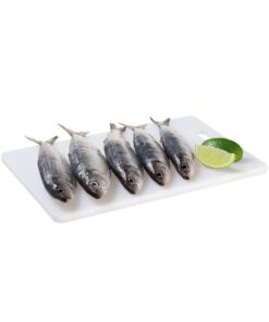 SARDINHA CONG BOA PESCA GRANEL CX12KG