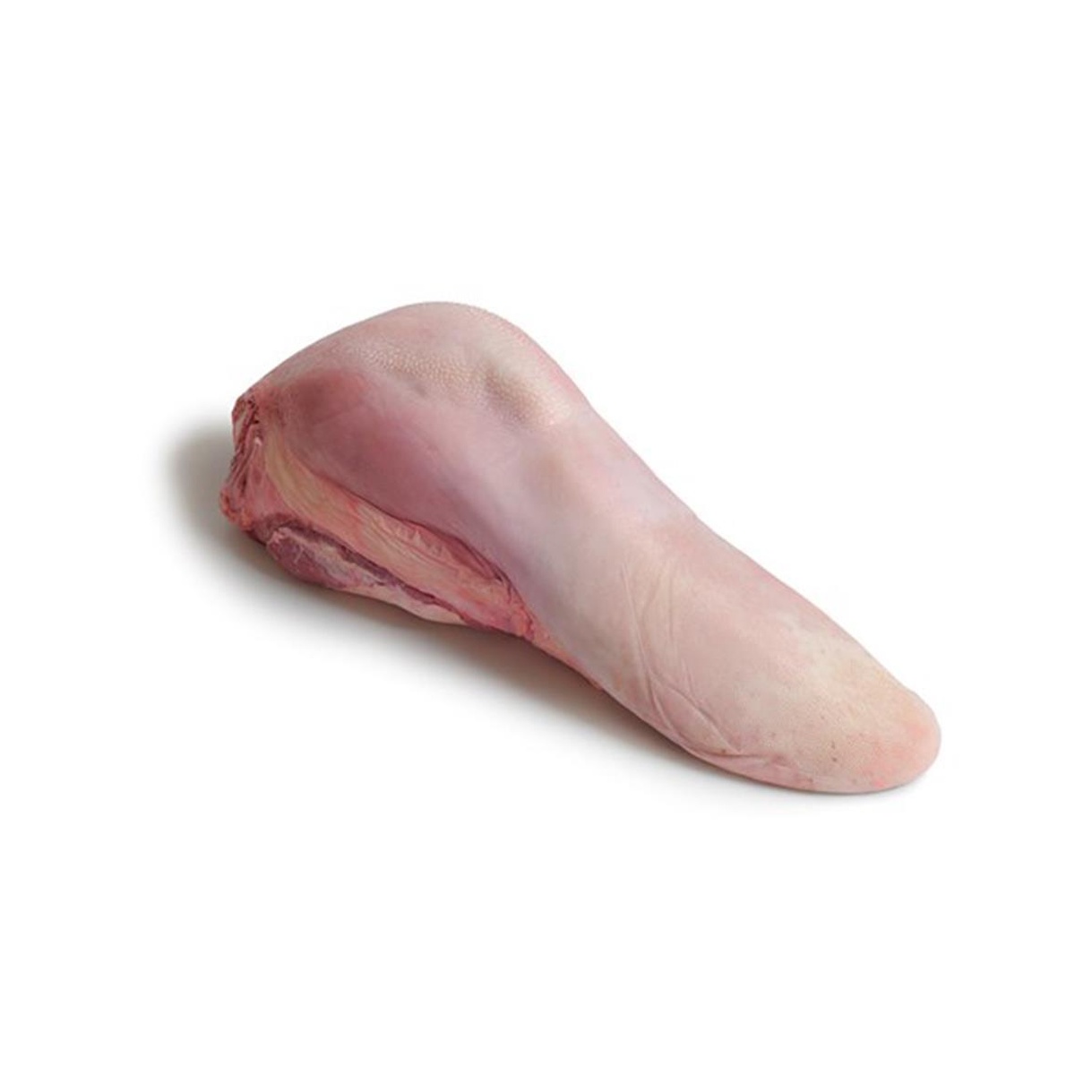 LINGUA BOVINA FRICARNE CX 20KG